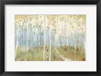 Framed Sunny Forest