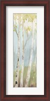 Framed Golden Birch I