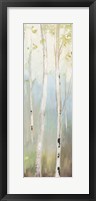 Golden Birch II Framed Print