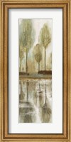 Framed Forest View I