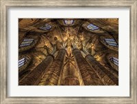 Framed Barcelona Cathedral