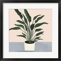 Framed Houseplant IV