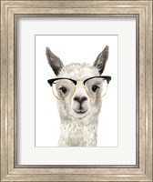 Framed Hip Llama IV