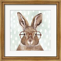 Framed Four-eyed Forester III