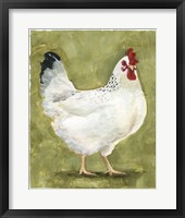 Chicken Scratch III Framed Print