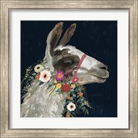 Framed 'Lovely Llama I' border=