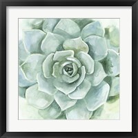 Framed 'Verdant Succulent I' border=