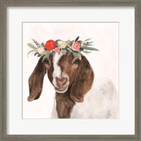 Framed Garden Goat II