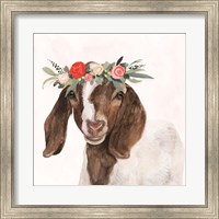 Framed Garden Goat II
