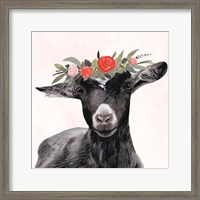 Framed Garden Goat III