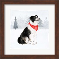 Framed Christmas Cats & Dogs II