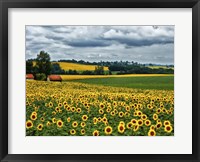 Framed Pastoral Countryside IV