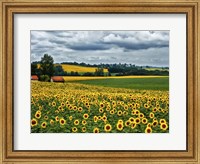 Framed Pastoral Countryside IV