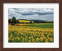 Framed Pastoral Countryside IV