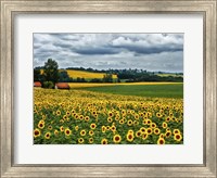 Framed Pastoral Countryside IV