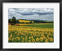 Framed Pastoral Countryside IV