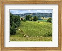 Framed Pastoral Countryside V