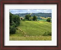 Framed Pastoral Countryside V