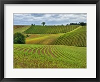 Framed Pastoral Countryside VI