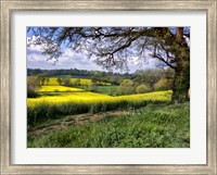 Framed Pastoral Countryside XIV