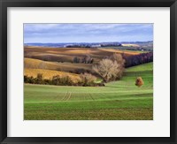 Framed Pastoral Countryside XVII