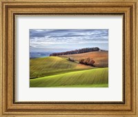 Framed Pastoral Countryside XX