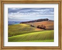 Framed Pastoral Countryside XX