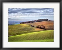 Framed Pastoral Countryside XX