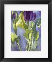 Framed Violet Spring Flowers II
