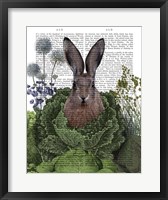 Framed Cabbage Patch Rabbit 1