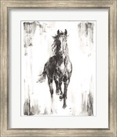 Framed Rustic Black Stallion I