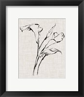 Framed 'Floral Ink Study IV' border=