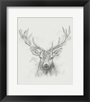 Framed Contemporary Elk Sketch I