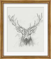 Framed Contemporary Elk Sketch I