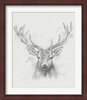 Framed Contemporary Elk Sketch I