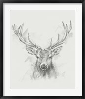 Framed Contemporary Elk Sketch I