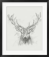 Contemporary Elk Sketch I Framed Print