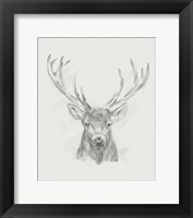 Framed Contemporary Elk Sketch II