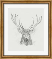 Framed Contemporary Elk Sketch II