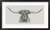 Framed Longhorn Bull