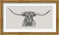 Framed Longhorn Bull
