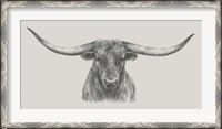Framed Longhorn Bull