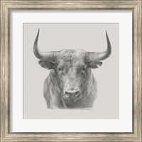 Framed Black Bull