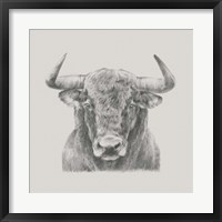 Framed Black & White Bull