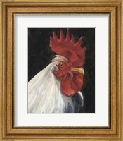 Framed Rooster Portrait I