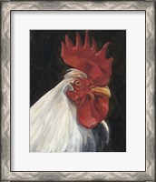 Framed 'Rooster Portrait I' border=