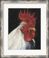 Framed Rooster Portrait I