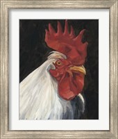 Framed 'Rooster Portrait I' border=