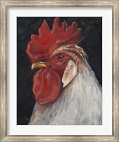 Framed Rooster Portrait II