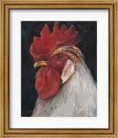 Framed Rooster Portrait II